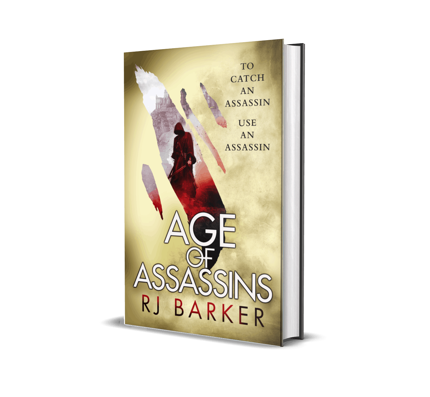 Top 25 Fantasy Books With Assassins You Must Read N.S Mirage