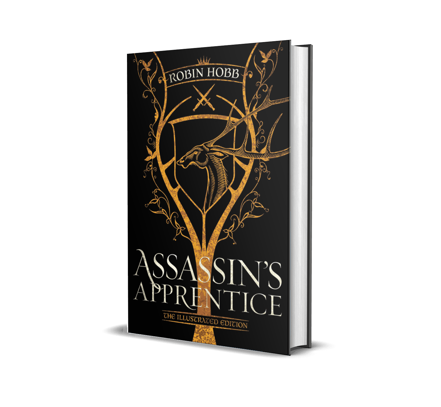 Book cover of Assassin's Apprentice